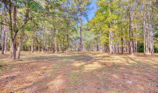 Photo #31 of 4250 Lilac Rd., Myrtle Beach, SC 3.3 acres