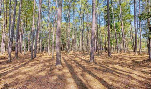Photo #13 of 4250 Lilac Rd., Myrtle Beach, SC 3.3 acres