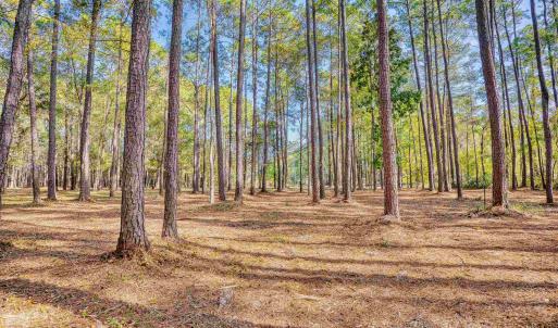 Photo #15 of 4250 Lilac Rd., Myrtle Beach, SC 3.3 acres