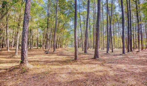 Photo #16 of 4250 Lilac Rd., Myrtle Beach, SC 3.3 acres