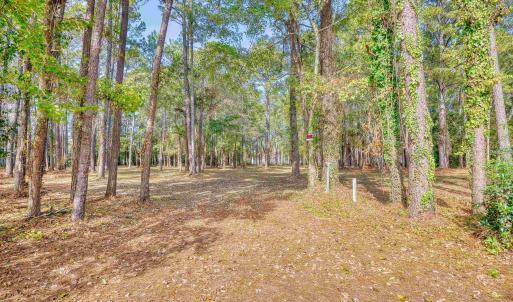 Photo #6 of 4250 Lilac Rd., Myrtle Beach, SC 3.3 acres