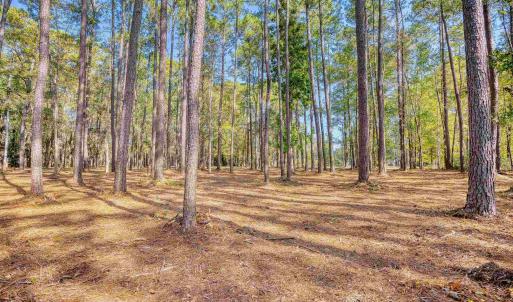 Photo #14 of 4250 Lilac Rd., Myrtle Beach, SC 3.3 acres