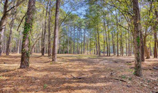 Photo #19 of 4250 Lilac Rd., Myrtle Beach, SC 3.3 acres