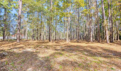 Photo #8 of 4250 Lilac Rd., Myrtle Beach, SC 3.3 acres