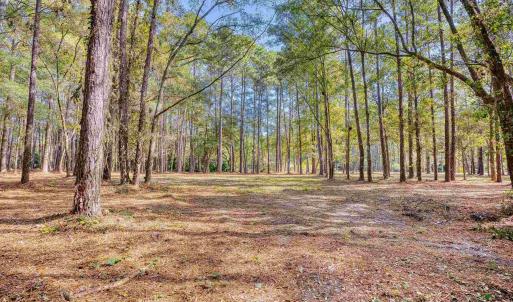 Photo #20 of 4250 Lilac Rd., Myrtle Beach, SC 3.3 acres