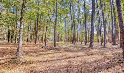 Photo #17 of 4250 Lilac Rd., Myrtle Beach, SC 3.3 acres