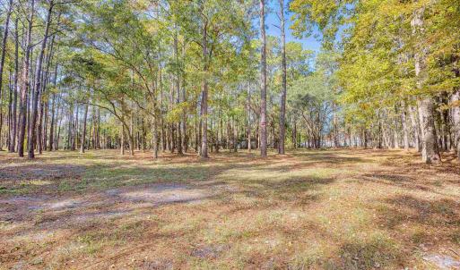 Photo #28 of 4250 Lilac Rd., Myrtle Beach, SC 3.3 acres