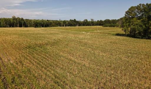 Photo #12 of 2757 Lees Landing Circle, Conway, SC 48.2 acres