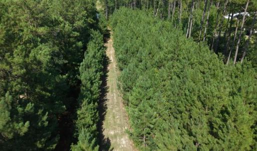 Photo #8 of 2757 Lees Landing Circle, Conway, SC 48.2 acres