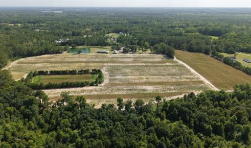 Photo #6 of 2757 Lees Landing Circle, Conway, SC 48.2 acres