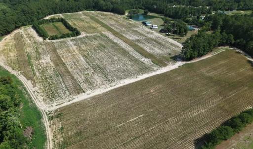 Photo #5 of 2757 Lees Landing Circle, Conway, SC 48.2 acres