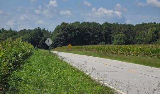 Photo #3 of Dunbar Highway, Blenheim, SC 160.8 acres