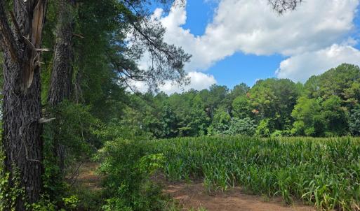 Photo #7 of Dunbar Highway, Blenheim, SC 160.8 acres