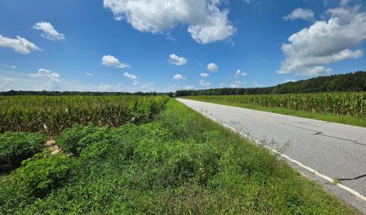 Photo #4 of Dunbar Highway, Blenheim, SC 160.8 acres