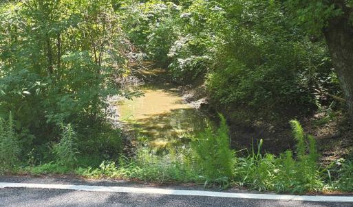 Photo #2 of Dunbar Highway, Blenheim, SC 160.8 acres