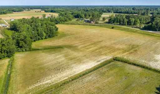 Photo #14 of TBD Billy MC Rd., Green Sea, SC 9.4 acres