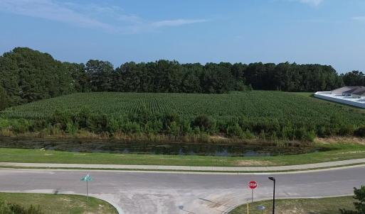 Photo #4 of 1621 Highway 9, Longs, SC 7.2 acres