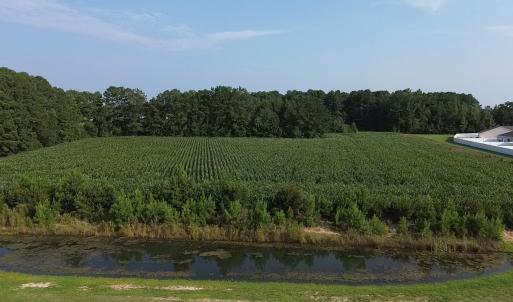 Photo #5 of 1621 Highway 9, Longs, SC 7.2 acres