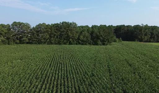 Photo #6 of 1621 Highway 9, Longs, SC 7.2 acres