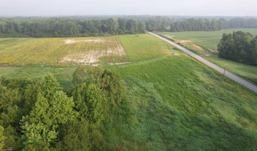 Photo #5 of 9.58 Acres - Deerfield Rd., Johnsonville, SC 9.6 acres