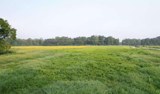 Photo #6 of 9.58 Acres - Deerfield Rd., Johnsonville, SC 9.6 acres