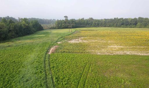 Photo #1 of 9.58 Acres - Deerfield Rd., Johnsonville, SC 9.6 acres