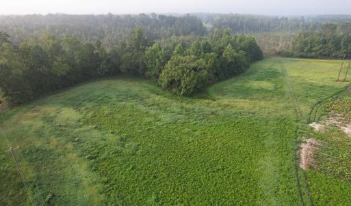 Photo #2 of 9.58 Acres - Deerfield Rd., Johnsonville, SC 9.6 acres