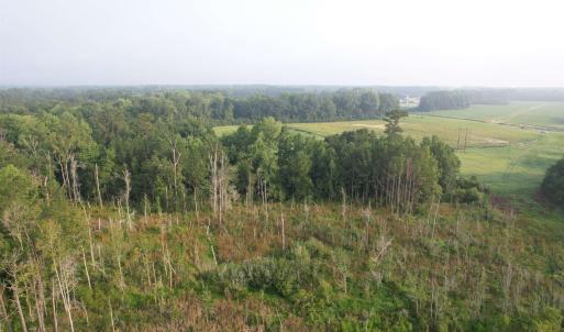 Photo #9 of 17.74 Acres - Deerfield Rd., Johnsonville, SC 17.7 acres