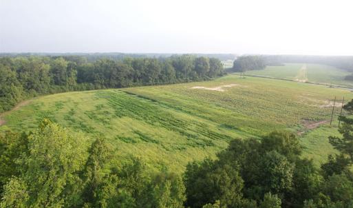 Photo #10 of 17.74 Acres - Deerfield Rd., Johnsonville, SC 17.7 acres