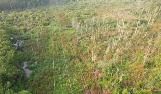 Photo #8 of 17.74 Acres - Deerfield Rd., Johnsonville, SC 17.7 acres
