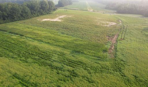 Photo #7 of 17.74 Acres - Deerfield Rd., Johnsonville, SC 17.7 acres