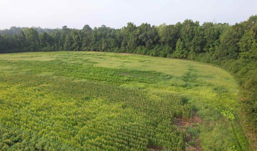 Photo #6 of 17.74 Acres - Deerfield Rd., Johnsonville, SC 17.7 acres