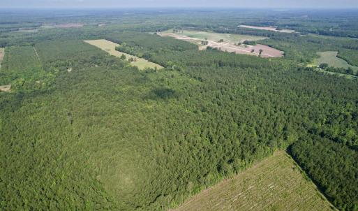 Photo #19 of 50.5 Acres Epps Rd., New Zion, SC 50.5 acres