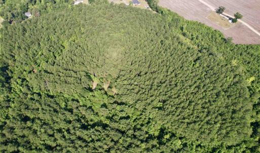 Photo #17 of 50.5 Acres Epps Rd., New Zion, SC 50.5 acres