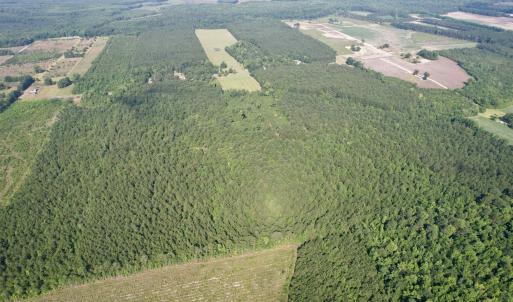 Photo #21 of 50.5 Acres Epps Rd., New Zion, SC 50.5 acres