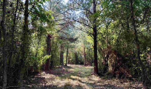 Photo #7 of 50.5 Acres Epps Rd., New Zion, SC 50.5 acres