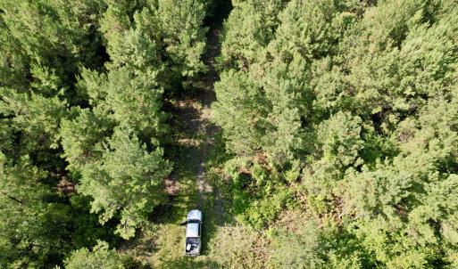 Photo #11 of 50.5 Acres Epps Rd., New Zion, SC 50.5 acres