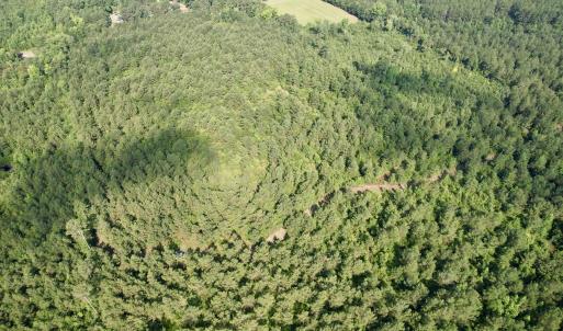 Photo #20 of 50.5 Acres Epps Rd., New Zion, SC 50.5 acres
