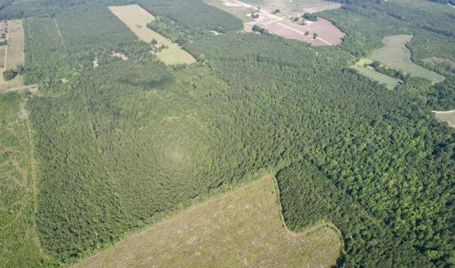 Photo #22 of 50.5 Acres Epps Rd., New Zion, SC 50.5 acres