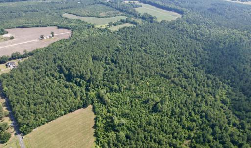 Photo #15 of 50.5 Acres Epps Rd., New Zion, SC 50.5 acres