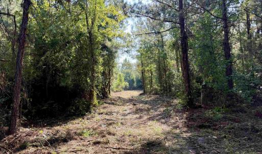 Photo #3 of 50.5 Acres Epps Rd., New Zion, SC 50.5 acres