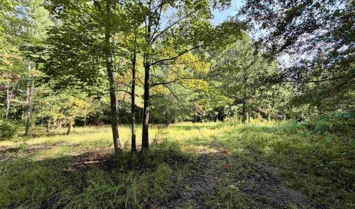 Photo #1 of 50.5 Acres Epps Rd., New Zion, SC 50.5 acres