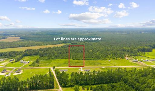 Photo #10 of TBD Highway 19, Loris, SC 3.8 acres