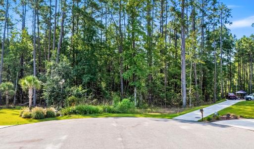 Photo #26 of 200 Joanna Gillard Ln., Georgetown, SC 0.3 acres