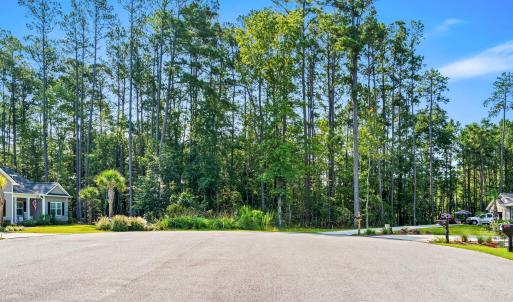 Photo #27 of 200 Joanna Gillard Ln., Georgetown, SC 0.3 acres