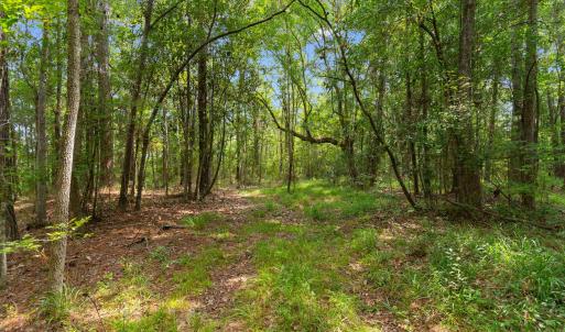 Photo #4 of 6518 Fraser St., Georgetown, SC 24.8 acres