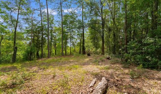 Photo #5 of 6518 Fraser St., Georgetown, SC 24.8 acres