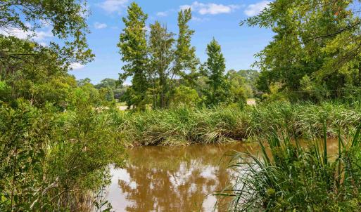 Photo #7 of 6518 Fraser St., Georgetown, SC 24.8 acres