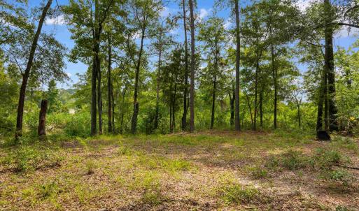 Photo #6 of 6518 Fraser St., Georgetown, SC 24.8 acres
