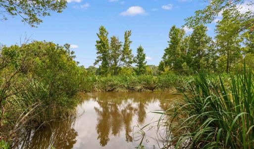 Photo #8 of 6518 Fraser St., Georgetown, SC 24.8 acres
